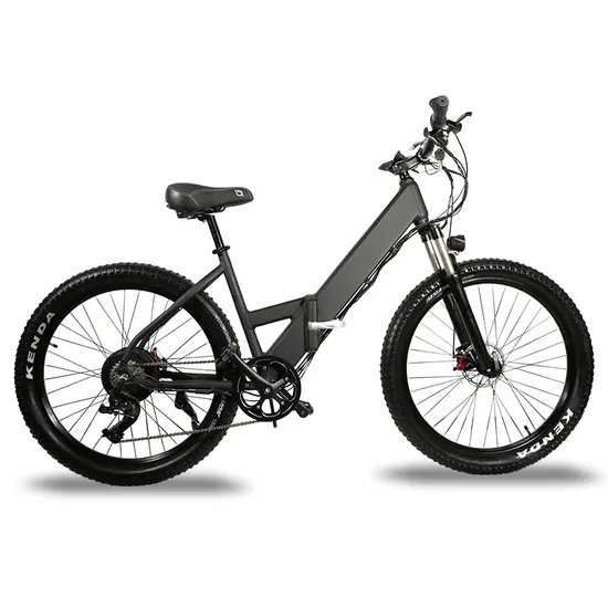 OEM eléctrico de la bicicleta de la batería 48V 1000W E de las bicicletas de montaña de la bicicleta 14ah